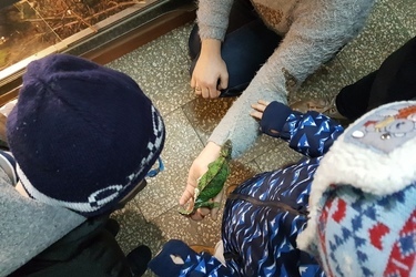 Wycieczka do sklepu zoologicznego