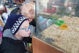 Wycieczka do sklepu zoologicznego