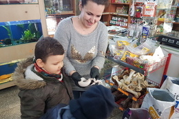 Wycieczka do sklepu zoologicznego