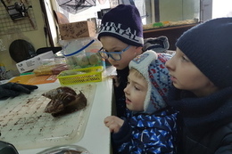 Wycieczka do sklepu zoologicznego