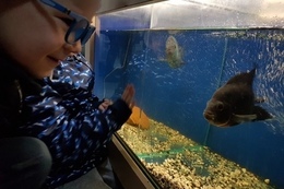 Wycieczka do sklepu zoologicznego